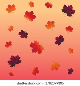 Autumn maple leaves on gradient background