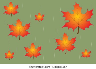 Autumn maple leaves on green background