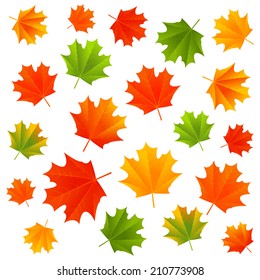 Autumn maple leaves on white background