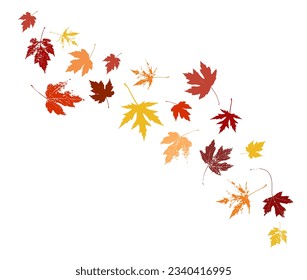 Autumn maple leaves, orange fall leaf, thanksgiving or halloween design elements in orange red and yellow autumn colors, seasonal clip art design elements for border or background illustrations