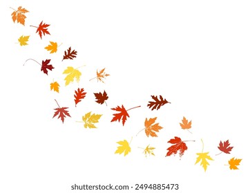 Autumn maple leaves, orange fall leaf, thanksgiving or halloween design elements in orange red and yellow autumn colors, seasonal clip art or png design elements for border or background illustrations