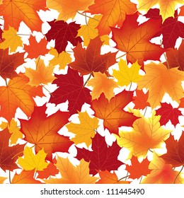 autumn maple leaves seamless pattern background