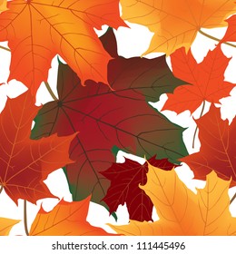 autumn maple leaves seamless pattern background