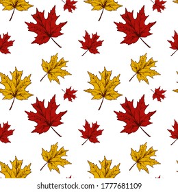 Las hojas de arce de otoño se aíslan sin fisuras en el fondo blanco. Ilustración vectorial de boceto de color dibujado a mano. Arte de línea de época