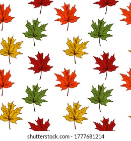 Autumn maple leaves seamless pattern isolated on white background. Hand drawn colored sketch vector illustration. Vintage line art