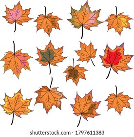 autumn maple leaves seamless pattern