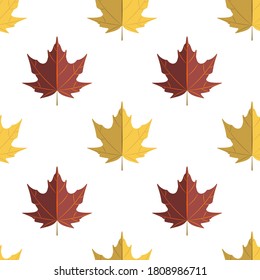 Autumn maple leaves seamless pattern isolated on white. Vector illustration