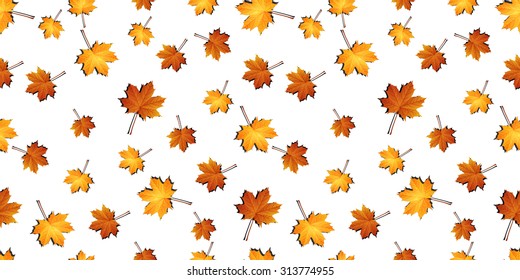 Autumn maple leaves seamless pattern background
