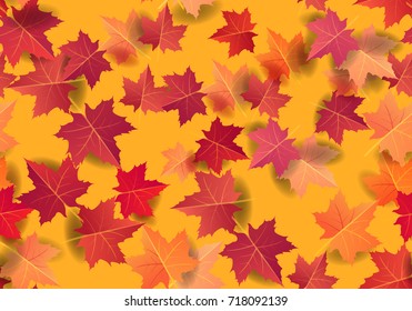 Autumn maple leaves seamless pattern background