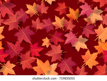 Autumn maple leaves seamless pattern background