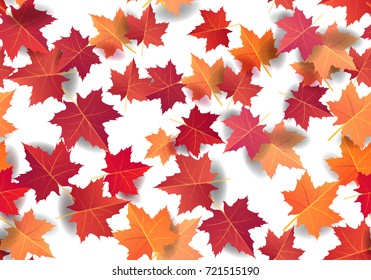 Autumn maple leaves seamless pattern background