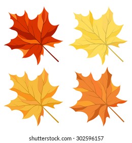 Autumn Maple Leaves Set.  Elegant Cute Design with Ideal Balanced Colors. Suitable for Creating Different Autumn Designs. Vector Illustration.