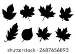 Autumn maple Leaves Set. Maple leaves isolated on a white background. Set of Maple, Oak and Linden Leaves icon vector illustration. 