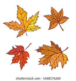 Autumn maple leaves set september or october leaf fall. Vector outline illustration sketch colourful isolated autumnal herbal graphics.