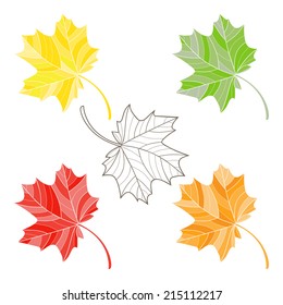 Autumn Maple Leaves. Set Vector Collection