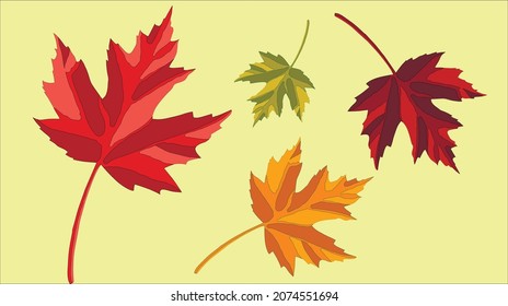 Autumn maple leaves for stencils