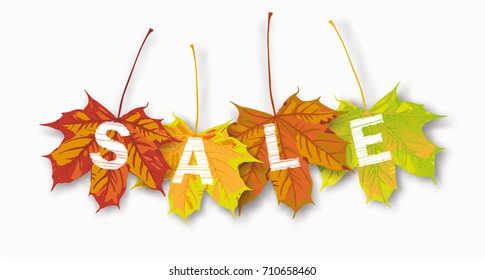 Autumn maple leaves with text Sale on the white. Eps 10 vector file.