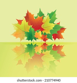 Autumn maple leaves with their reflection in the puddle.