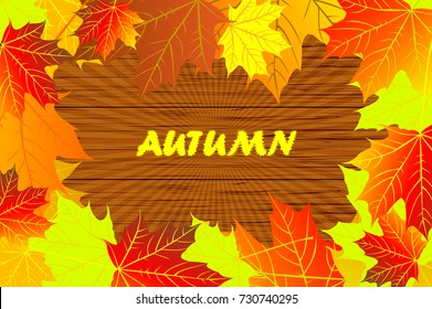 autumn - maple leaves - vector background, Autumnal leaf of maple, (Acer), 