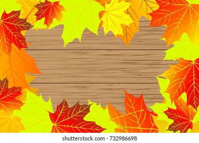 autumn - maple leaves - vector background, Autumnal leaf of maple, (Acer), 
