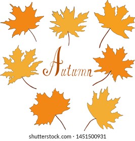 Autumn maple leaves vector illustration hand draw. Vector  hand draw celebrate autumn.