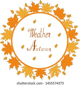 Autumn maple leaves vector illustration hand draw. Vector  hand draw celebrate autumn.