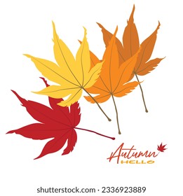 Autumn maple leaves vector illustration.  Autumn  leaves design template for decoration, sale banner, advertisement, greeting card and media content. Autumn concept. Flat vector isolated on white.