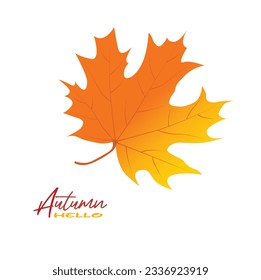 Autumn maple leaves vector illustration.  Autumn  leaves design template for decoration, sale banner, advertisement, greeting card and media content. Autumn concept. Flat vector isolated on white.