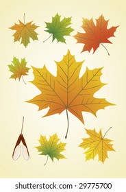 Hojas de arce otoñales. Ilustración del vector