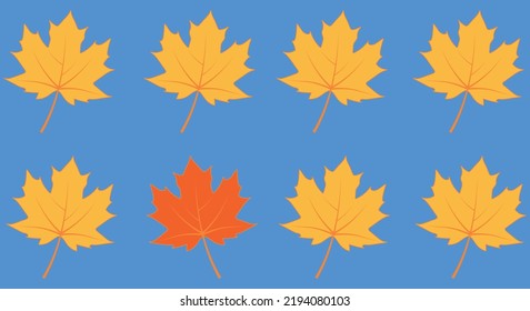  autumn Maple leaves vector, one leaf is different from the others - abstract vision be different, unique personality or standing out from the crowd, leadership quality