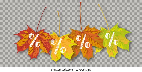 Autumn maple leaves with white percents on the checked background. Eps 10 vector file.
