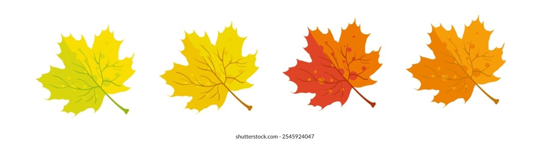 Autumn maple leaves yellow, orange and red - vector illustration