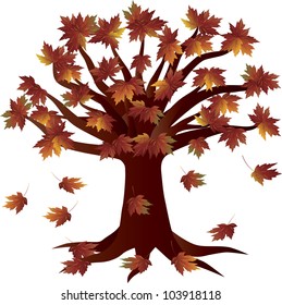 Autumn Maple Tree  in Fall Season Illustration Isolated on White Background