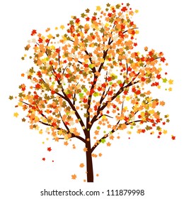 Autumn Maple Tree With Falling Leaves on White Background. Elegant Design with Text Space and Ideal Balanced Colors. Vector Illustration.