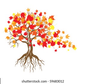 autumn maple tree with falling leaves