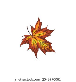 Icono dibujado a mano de la hoja del árbol de arce del otoño. Follaje naranja que cae, bosquejo de hojas de la naturaleza del bosque. Elemento de diseño estacional floral. Ilustración de color de Vector aislado sobre fondo blanco