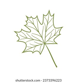 autumn maple tree leaf line style art drawn