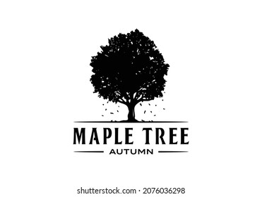 Autumn maple tree logo, tree of life design template inspiration