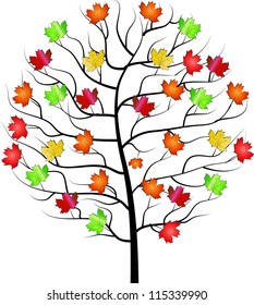 Autumn maple tree - vector