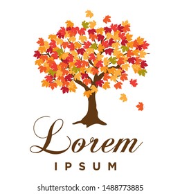 autumn maple tree, vector logo template