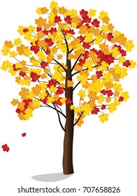 autumn maple vector