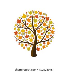 Autumn maple with yellow leaves. Isolated vector illustration on white background