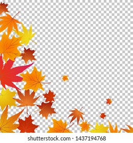 Autumn maples falling leaves background. Vector illustration.