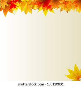 Autumn maples falling leaves background