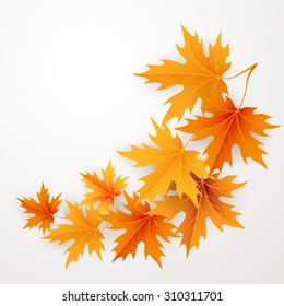 Autumn maples falling leaves background. Vector illustration