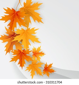 Autumn maples falling leaves background. Vector illustration