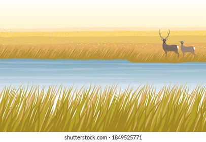 Autumn marsh and deer couple