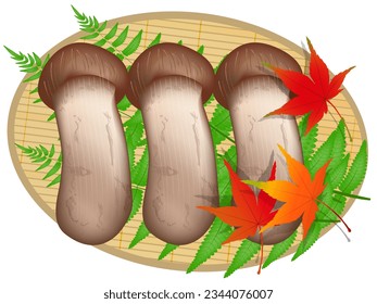 Autumn Matsutake mushroom Taste Autumn leaves Icon