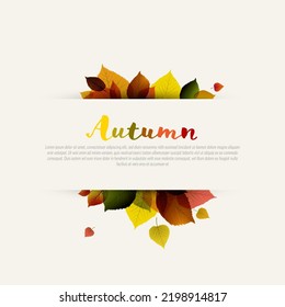 Autumn minimalist sale stripe  label made from leafs with place for your text. Circle fall discount flyer banner social media post status or cover illustration