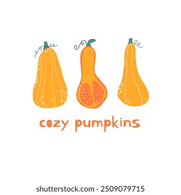 Autumn minimalistic banner with cute cozy colorful pumpkins. Template for thanksgiving and harvest day.